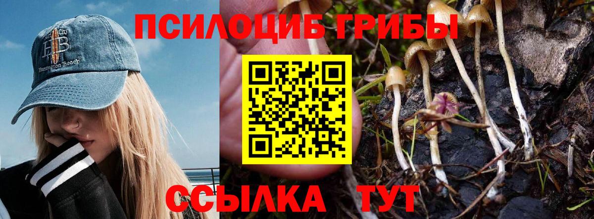 Псилоцибиновые грибы GOLDEN TEACHER  Вход с VPN  Псилоцибиновые грибы прущие грибы  Каменка 